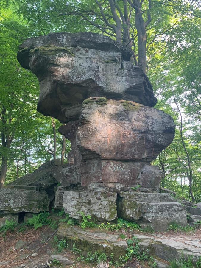 Schronisko Gorskie Pttk Na Jaworzynie Krynickiej Krynica-Zdrój Esterno foto