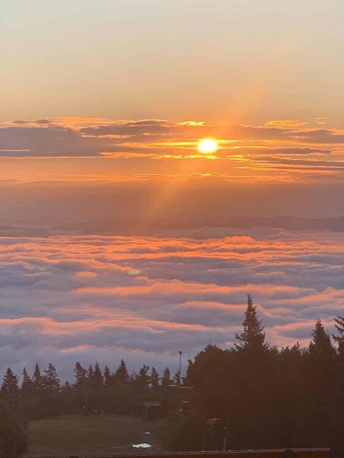 Schronisko Gorskie Pttk Na Jaworzynie Krynickiej Krynica-Zdrój Esterno foto